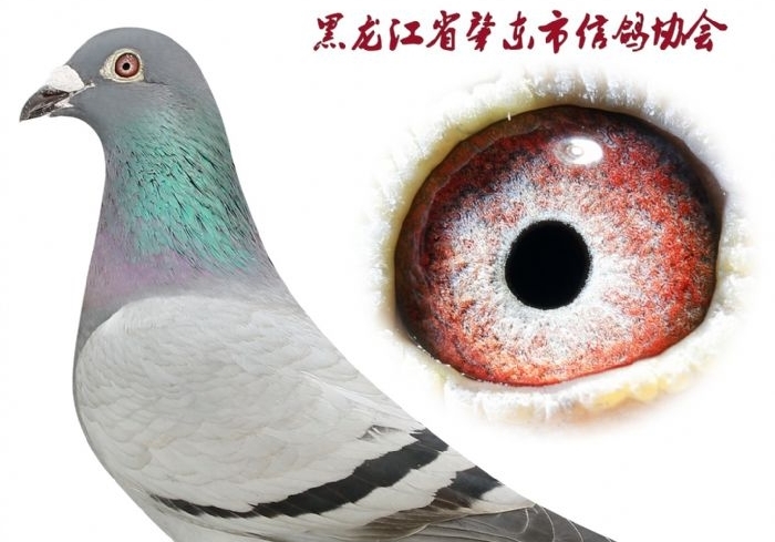 �ض��ر�һ����־��� ������������ھ�