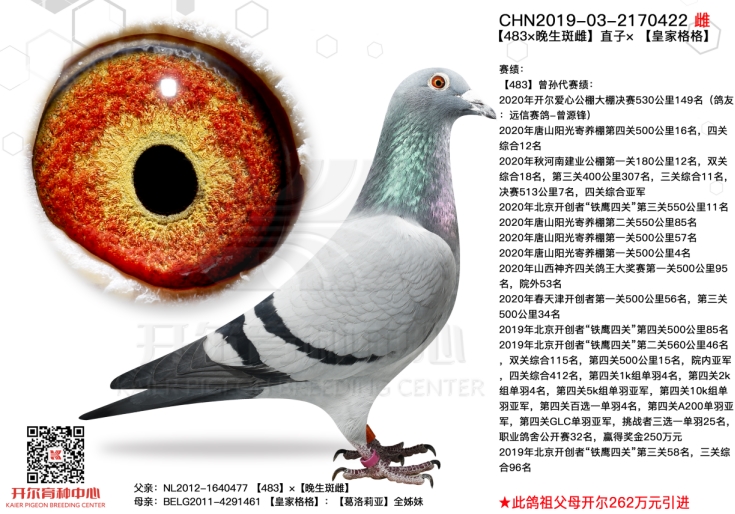 ����������ֹ���� ��������������ж��ѣ�