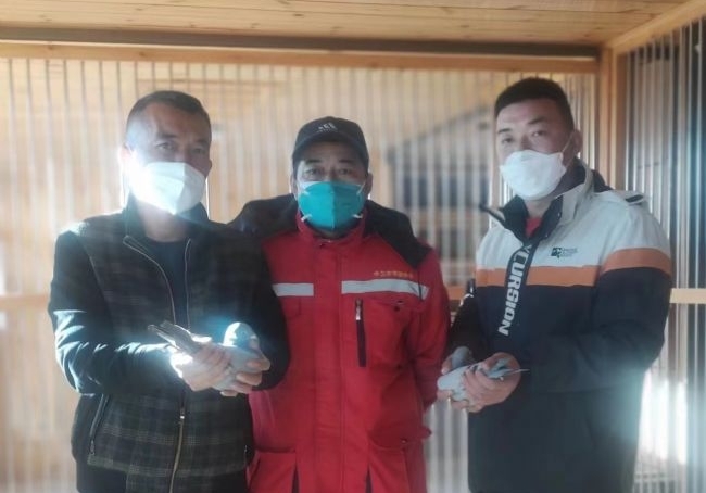 ���º���ս���� ���������Ĺػ����Բ���ճ�