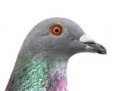 �����վ����ˮһս ��Χ��Ӯ�ر���Ǯ