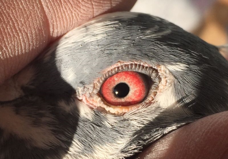 ���ɷ��롰�ϼ���ʮ������������