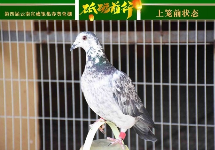 ������սһ������ �����Ĺ���������ɲ���