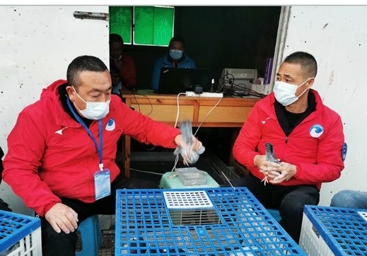 ��������ѩ�׷� ���ϴ������֪