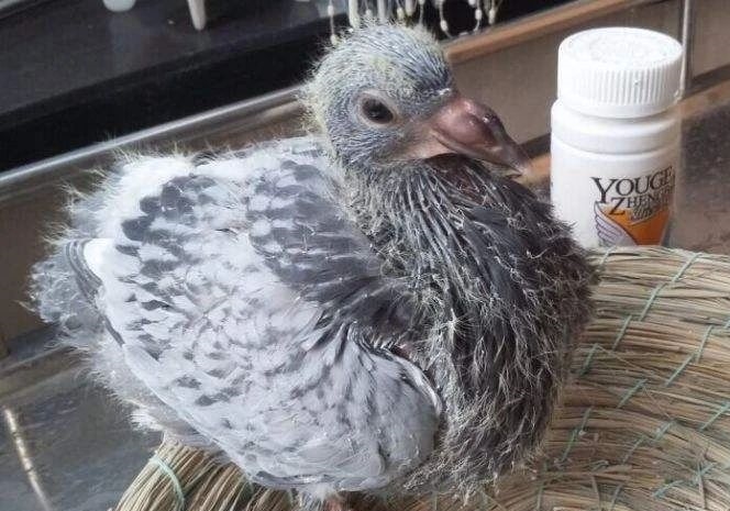 ��˵�������ۣ�һ�������� �������ͬ