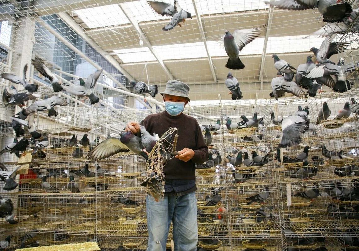 ������ǻۣ����̲��� Ҫ�����տ���