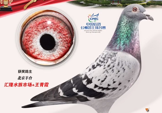 ����������2000 ��Ⱥ����С�񡰿����ˡ�