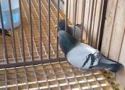 23���һ��ԣ��������䲻�ܴ�