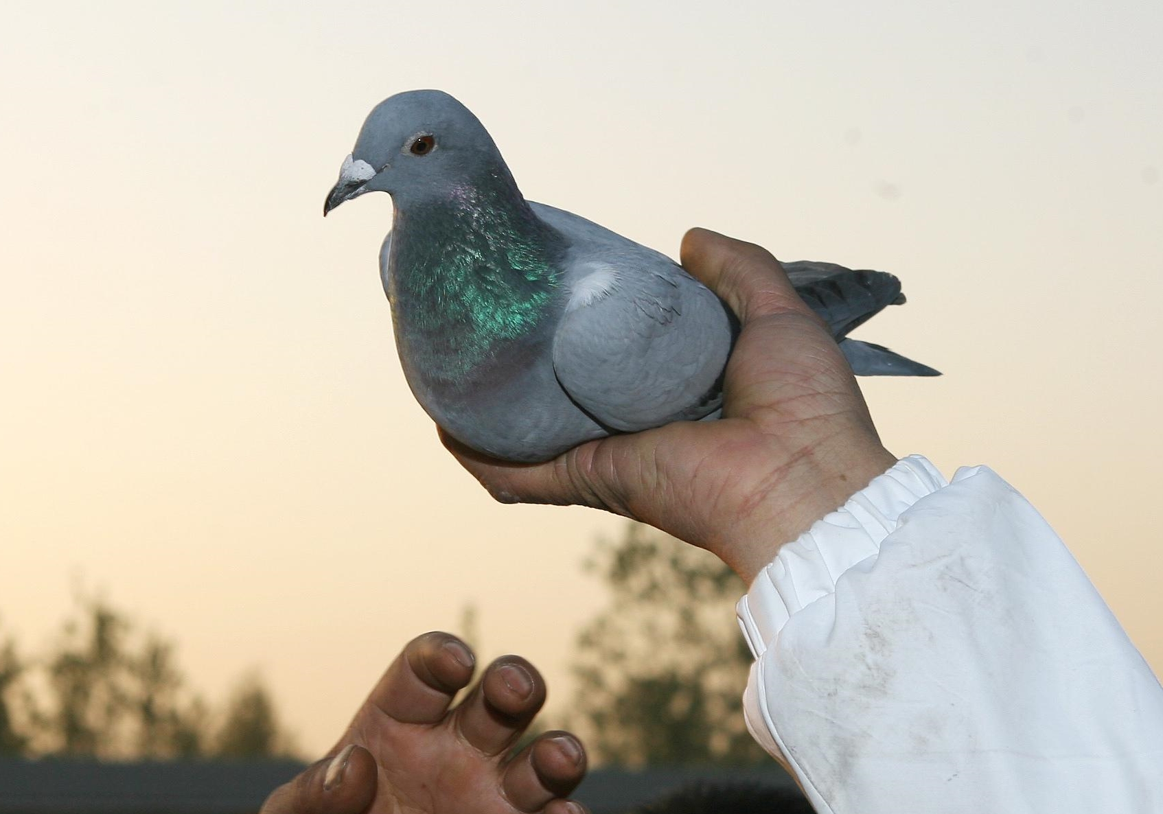 ˭����ʣ�2022ǧ����ھ��̵� ����һ�ο���񫣡