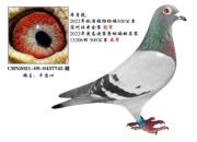 �о�ʦ����ָ�� �¶����׸����ھ�