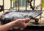 ��һ�βμӹ��� �Ͷ���һС׬�����