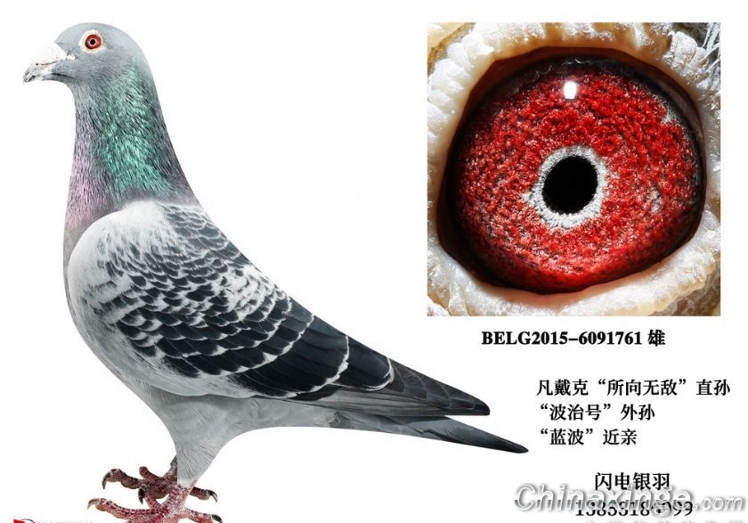 �ҵ�2022�������ܽ᣺��ǿ��ҪӲ