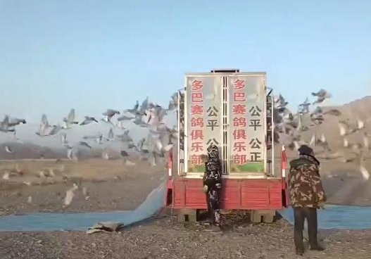 ����ն�������� �ຣ�رȹھ��ɳ��߷���