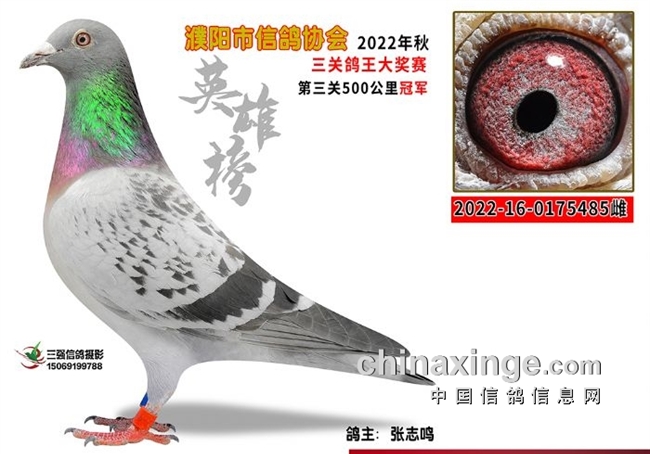 һ�˰�������ǰ���� ��������������