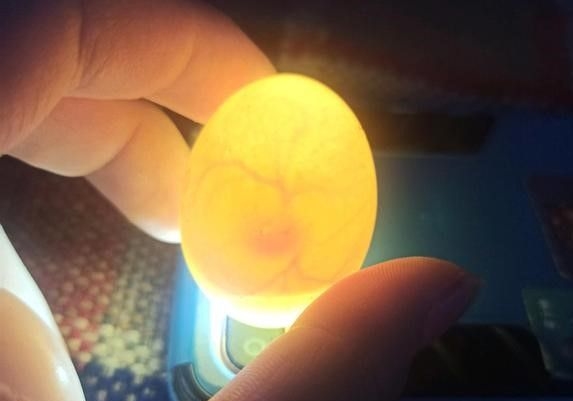 ��˵�������ۣ��۳��ƶ̲����� һ��һث�����룿