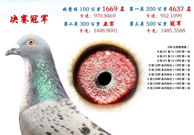 �������ض�ھ� ɽ���������߹ھ����̵�