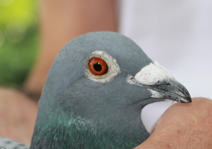 ���������ִ���ǰ ��ȥһ�г��̵�