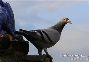 �ҵ�����ҹ���