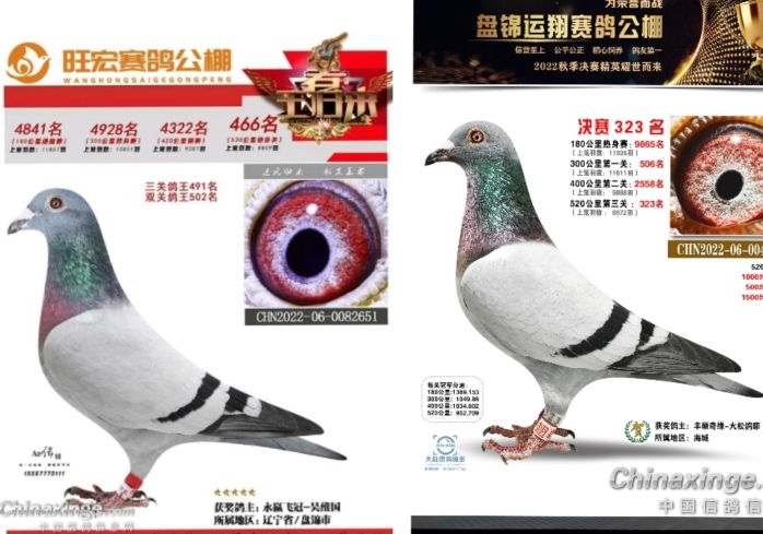 2023��ô�䣺�ҵ�9��������