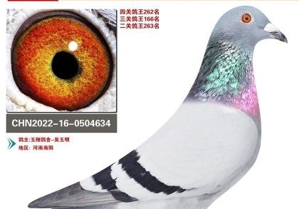 �������룺���꽻���ﶼ���ջ�