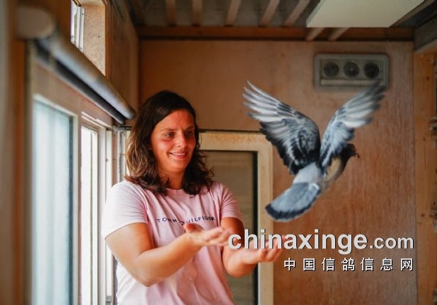 �������û���쪣�ϯ��ŷ�������ո�������