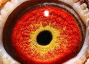 �������ͣ���Ÿ�������Σ�