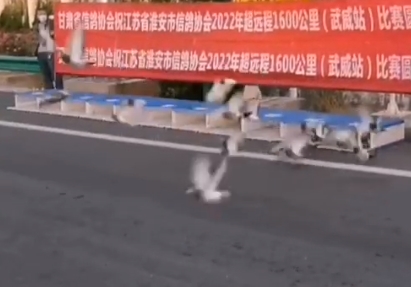 讨论：淮安超远程一羽200 贵吗？