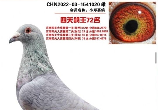 13���ϴ����֣�