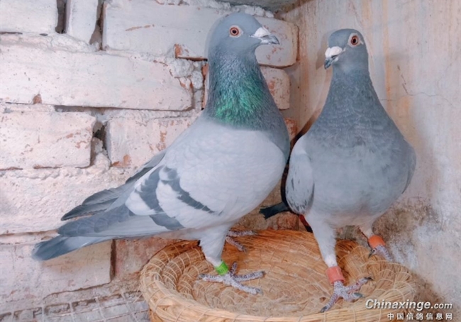 2023�����䣺����ĵ�һ�����