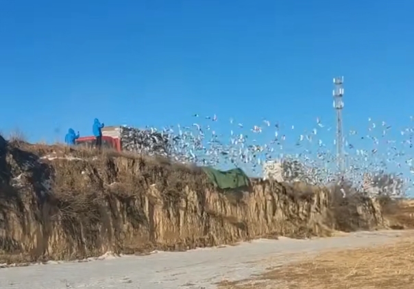 ���𾫸�̤���� ������ϲ�������鳲�˳�