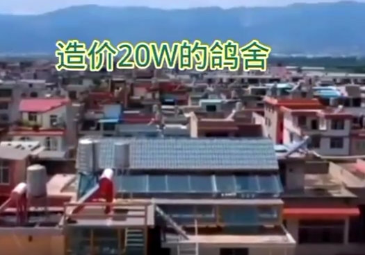 ���20��ĸ��� �������