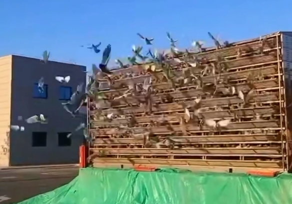 һ�˰������Ǿ� ���Ҹ���׹ظ��