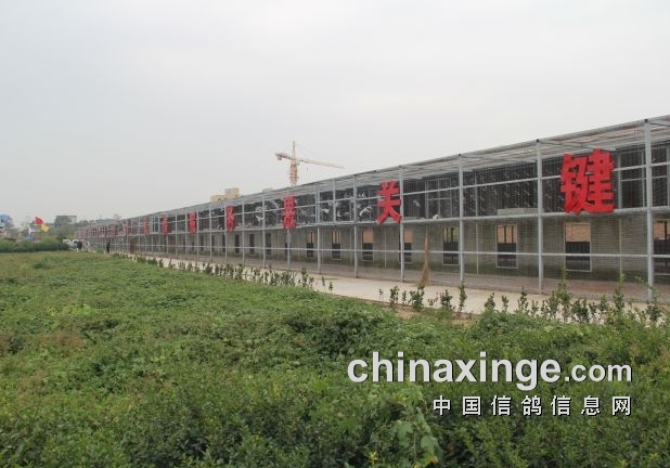 ר���۵㣺ϲѶ�����빫�ｱ��������˷���