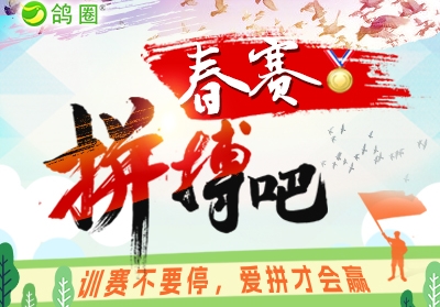 ��¼���ʲ����Ȱ� ƴ���ɣ�������