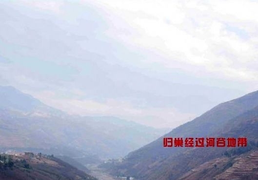 ������ǿ���� �����׳�����Ԥ�����չ��ĳ�