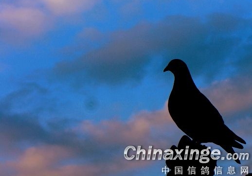 ��С���ˡ���ʧ�ǣ����������ɵ�