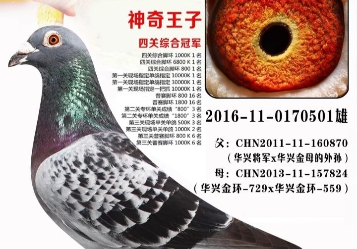 2023�껪�˵Ļƽ����