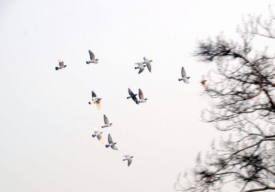 ���޳��� �ܷ�����