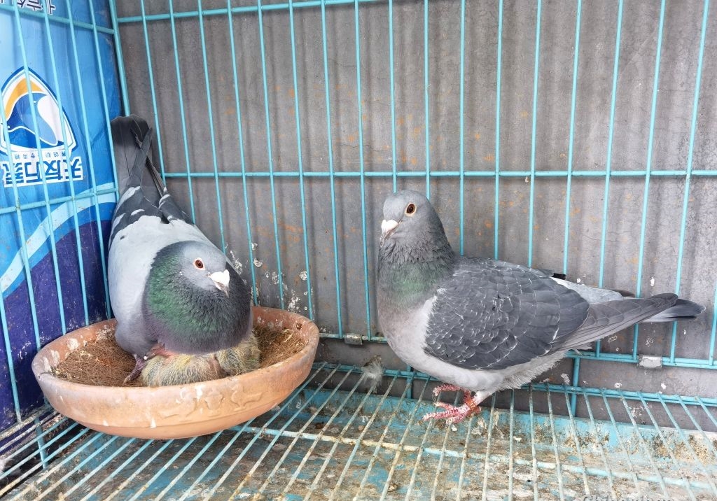 ��ʧ�����¹��� �������С��ս��