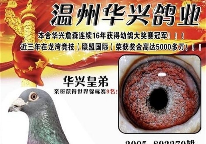 ������� ����19�������ھ�