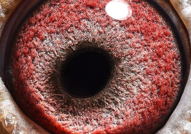 ���ֲ�������