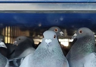 ������˫�ؿ��� �����ʵս�ĵ�