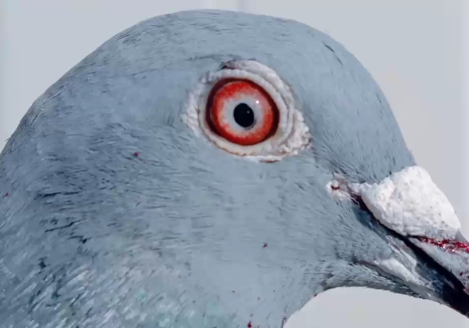 �������ӷ��Ϯ�� �ҷ���ʧ����  