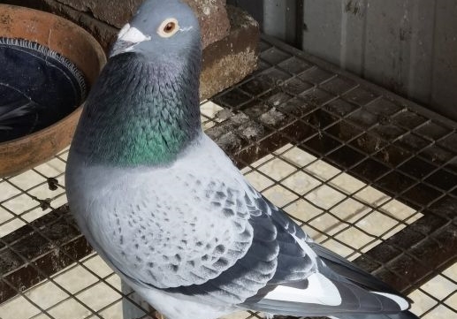 600����5����� 2023�����