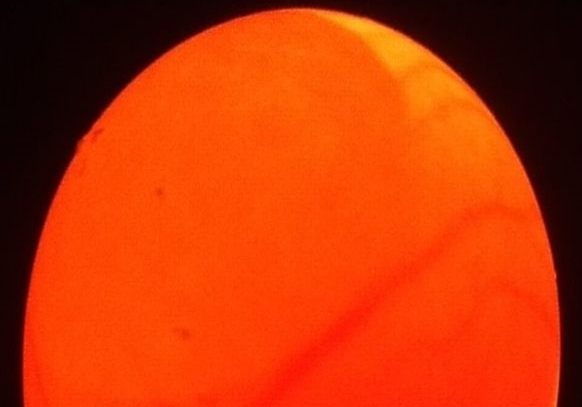 �Լ����� ��������͵���ָ뵰