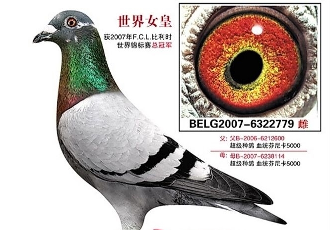 ���ˡ�����Ů�� ��ֱ��Ů��Ѫ���