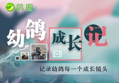 ��Ȧ����һ�� ��¼�׸�ɳ�