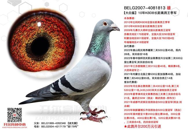 �ؽ���������ŷ���ͻ�����Ϊ���ڸ��ѱ�����Щ�ɹ�֮����