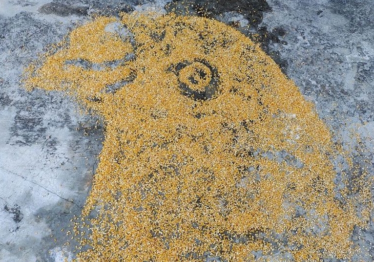 ��������̬�������� ��ס��