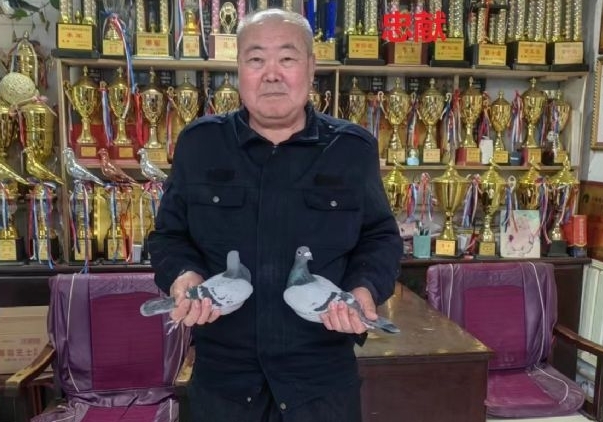 ��΢˪�ֺη����ӱ��Ͻ�һ�ظ�λ���عھ�