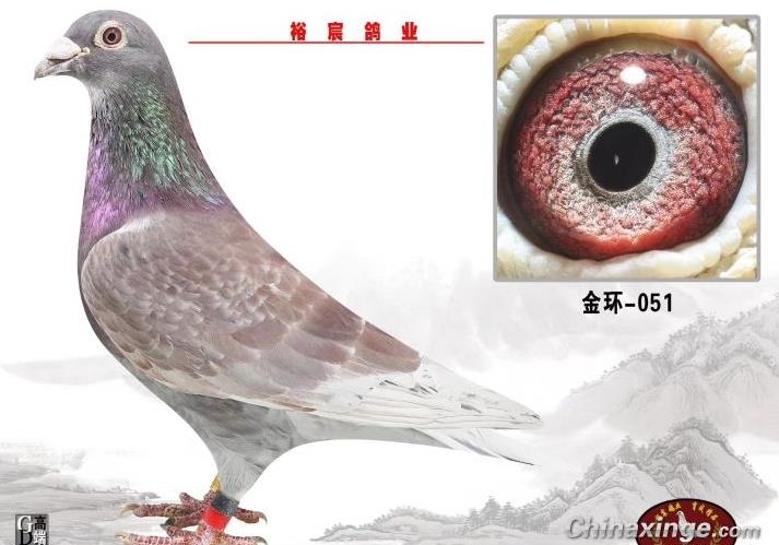 �����Զ������������һ���羰